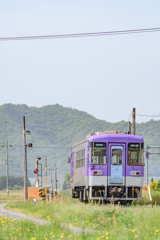 早朝の北条鉄道