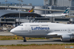 ルフトハンザドイツ航空 Boeing 747-830