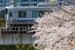 2018 SAKURA TRAIN Ⅱ