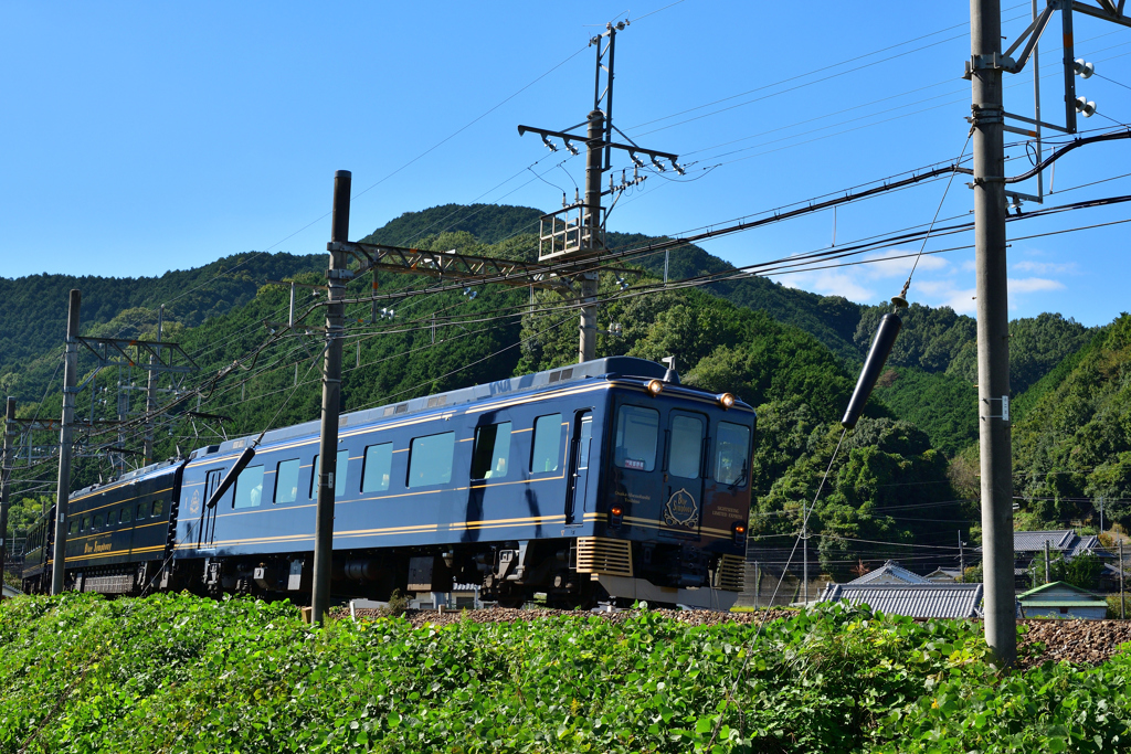 緑の中を駆け抜ける