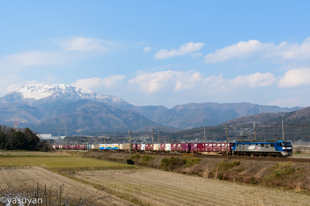 貨物列車が行く