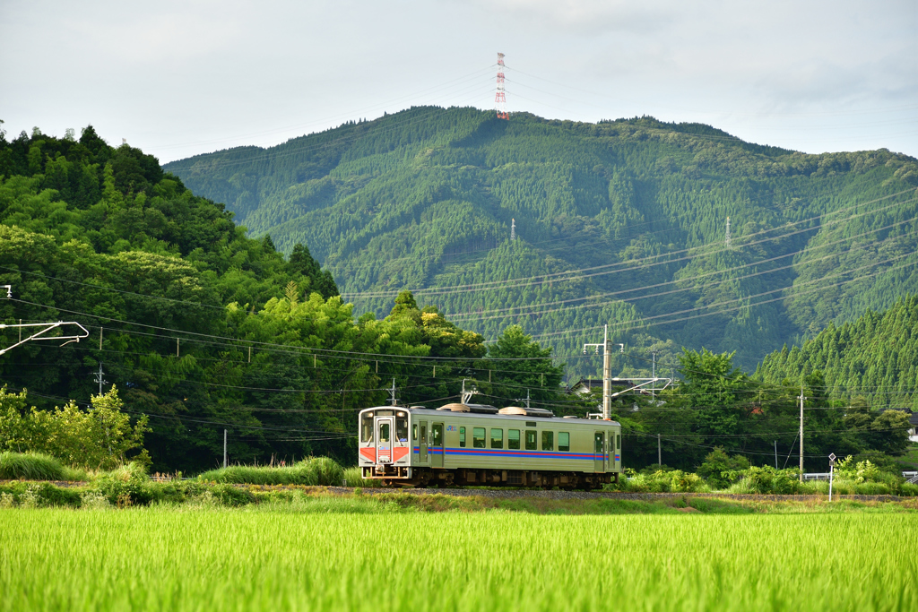 ローカル色（２）