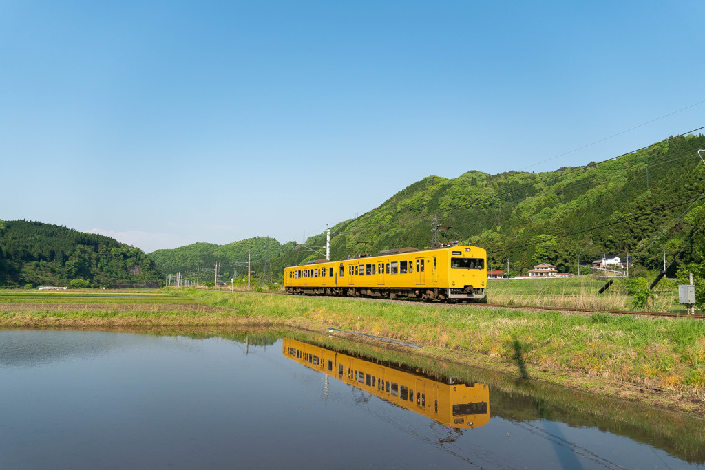 今年初めの水鏡