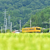 緩やかなカーブ