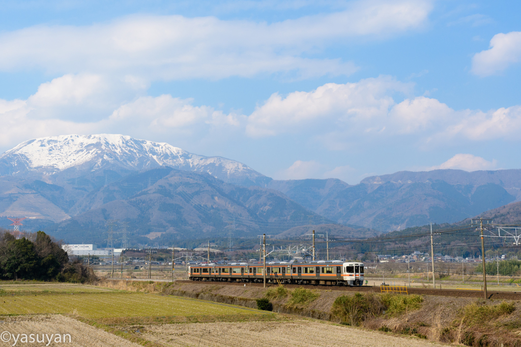 のどかな時間