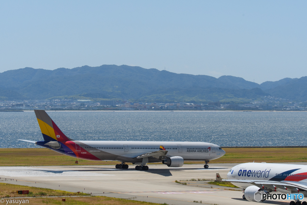 Airbus A330-323X（アシアナ航空）