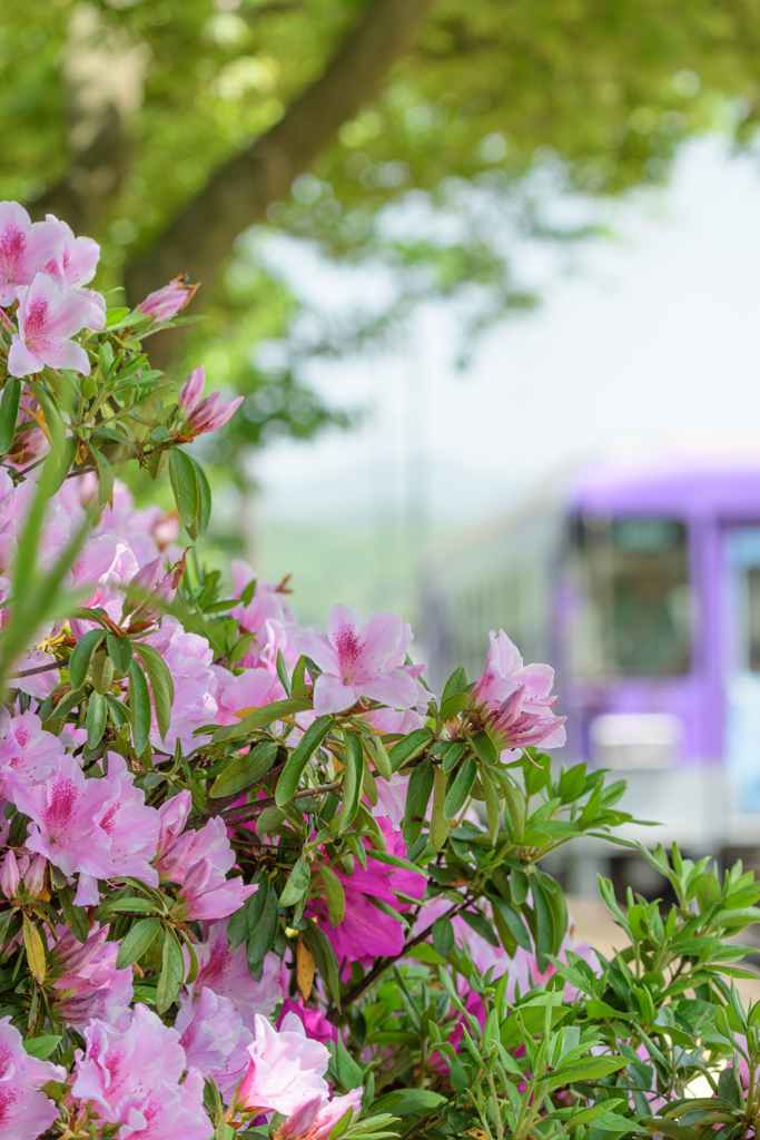 花咲く駅へ