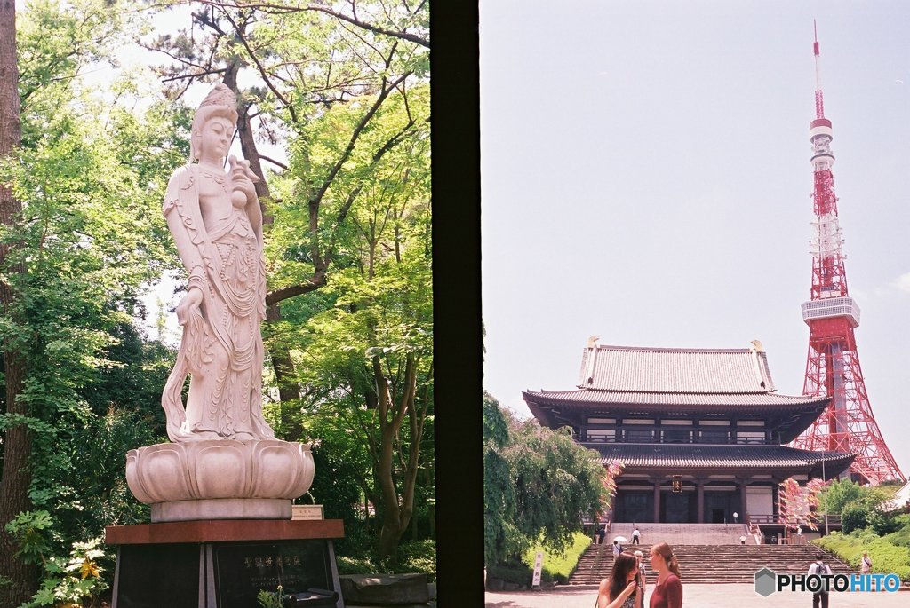 増上寺の平日