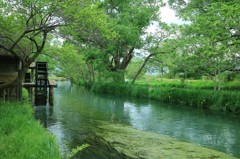 大王わさび農場