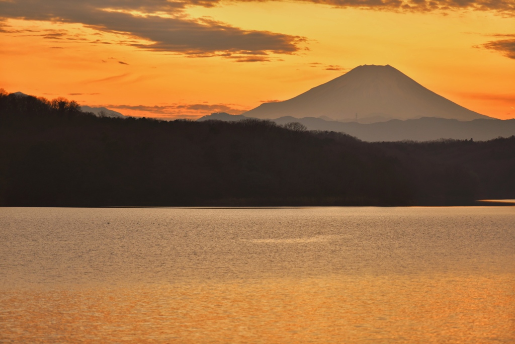 富士山