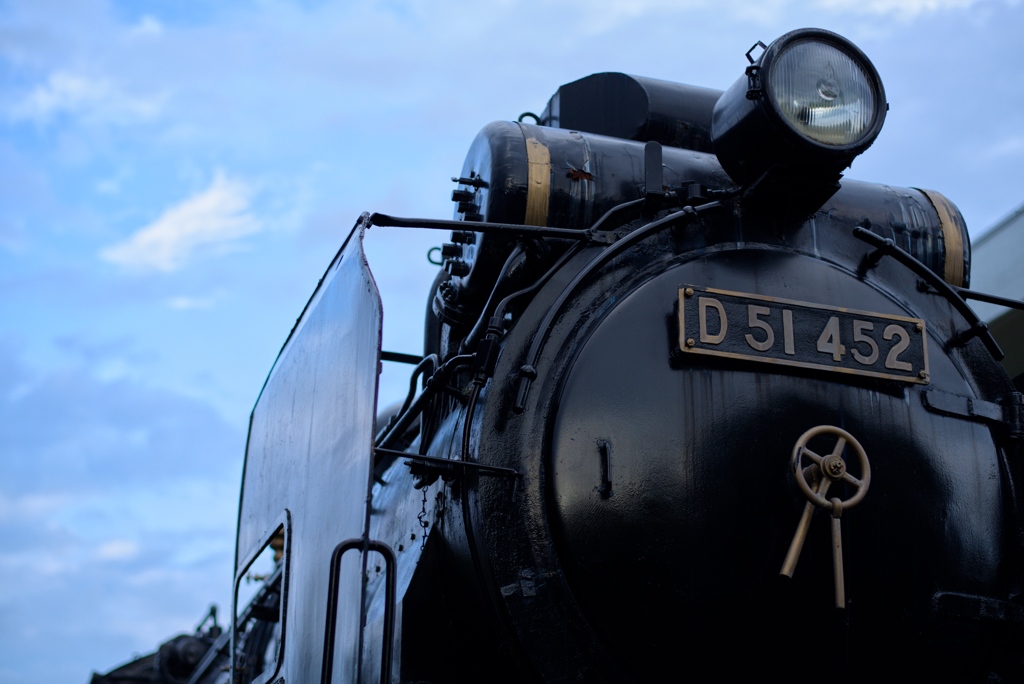 D51
