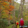 紅の散歩道