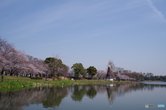 浮間公園。