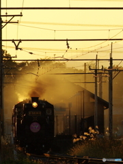 晩秋の夕暮れ