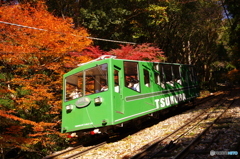 紅葉のなかのわかば