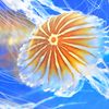 水族館にて