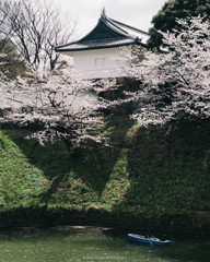 お城と桜とボート