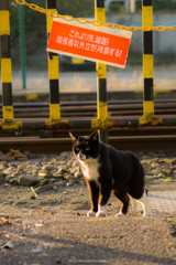 線路の番人