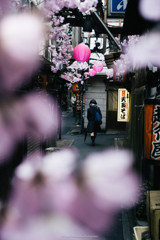 春