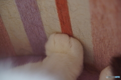 DSC02453