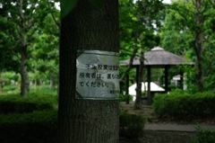 unlawful dumping 