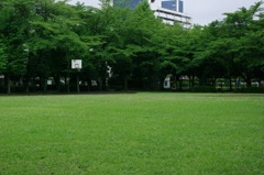 公園