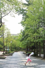 風を追いかけて