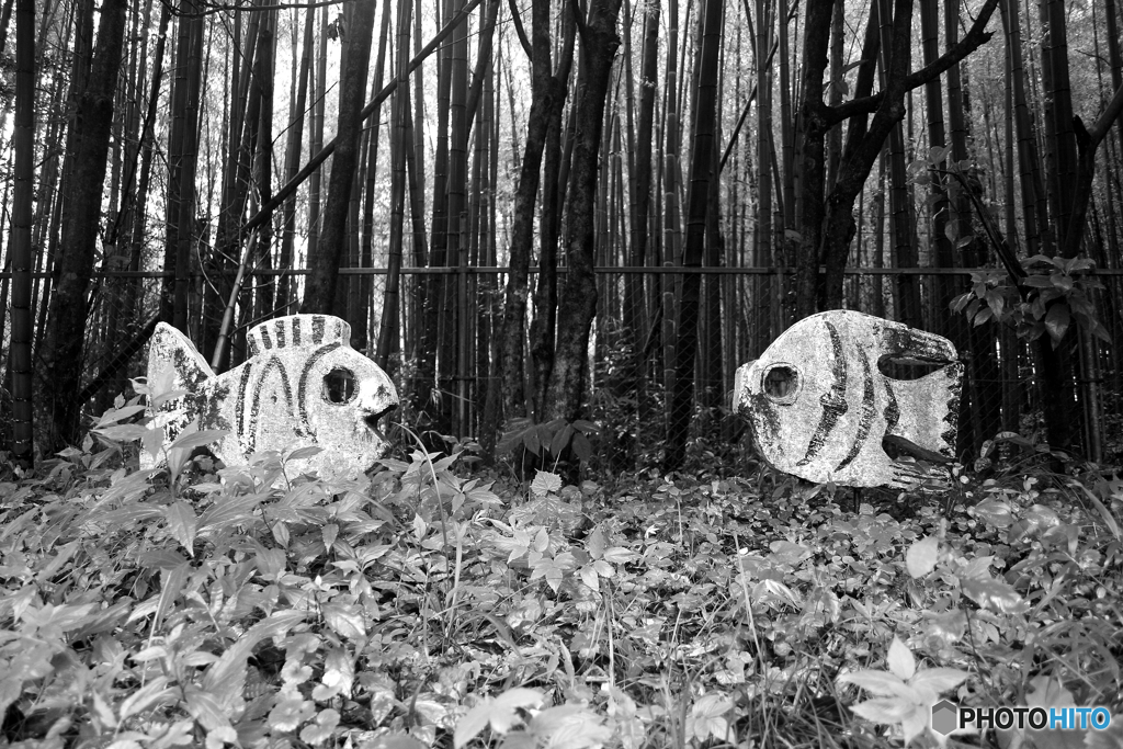 廃校になった母校の裏山です。