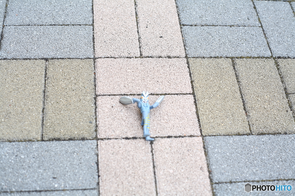 おとしもの