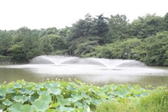 名城公園