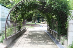 みどりのアーチ