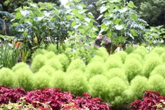 名城公園