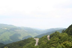 伊吹山中腹