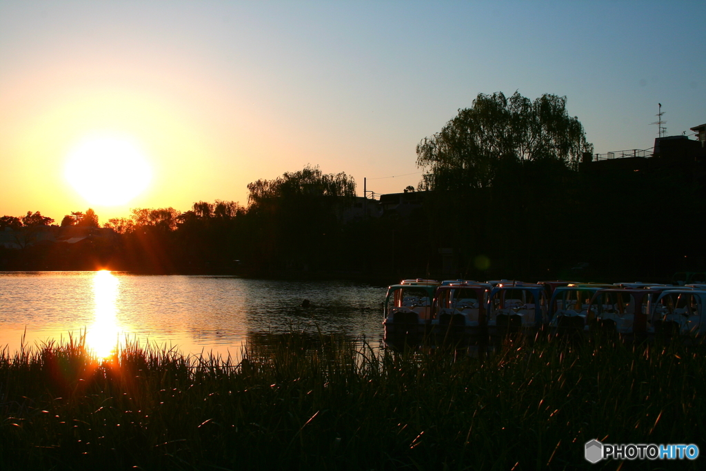 石神井公園の夕日