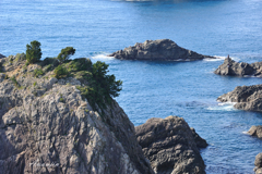 和歌山 003