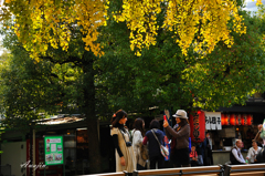 日本の大自然
