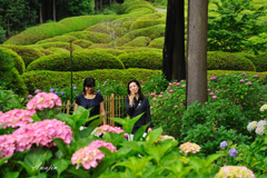 女と花