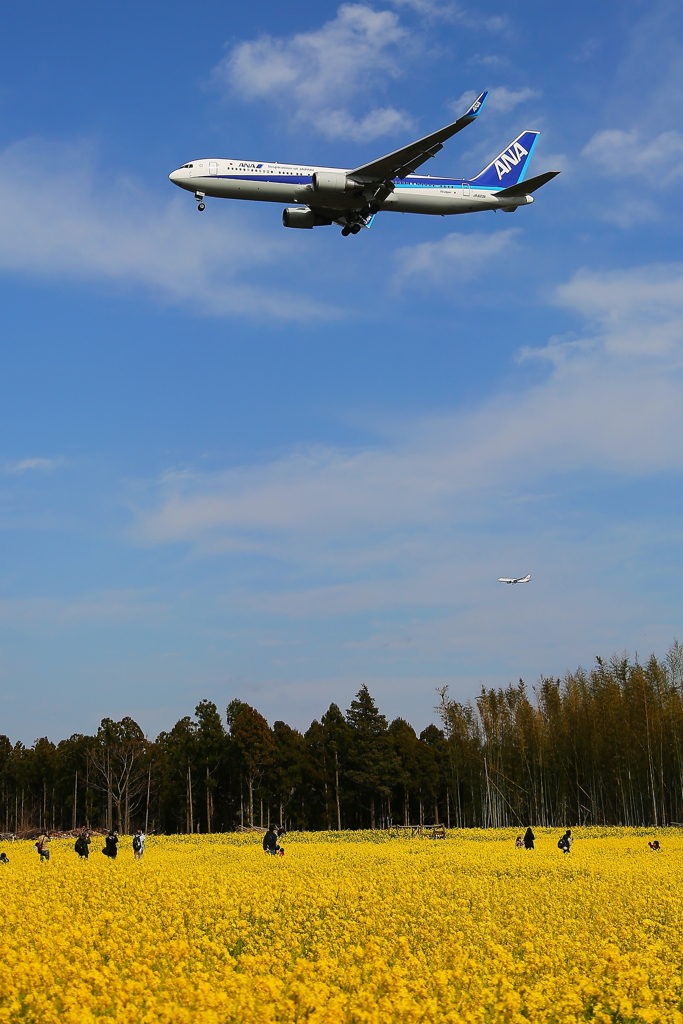 春の成田空港②