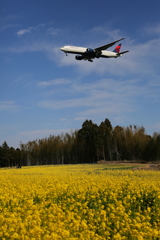 春の成田空港①