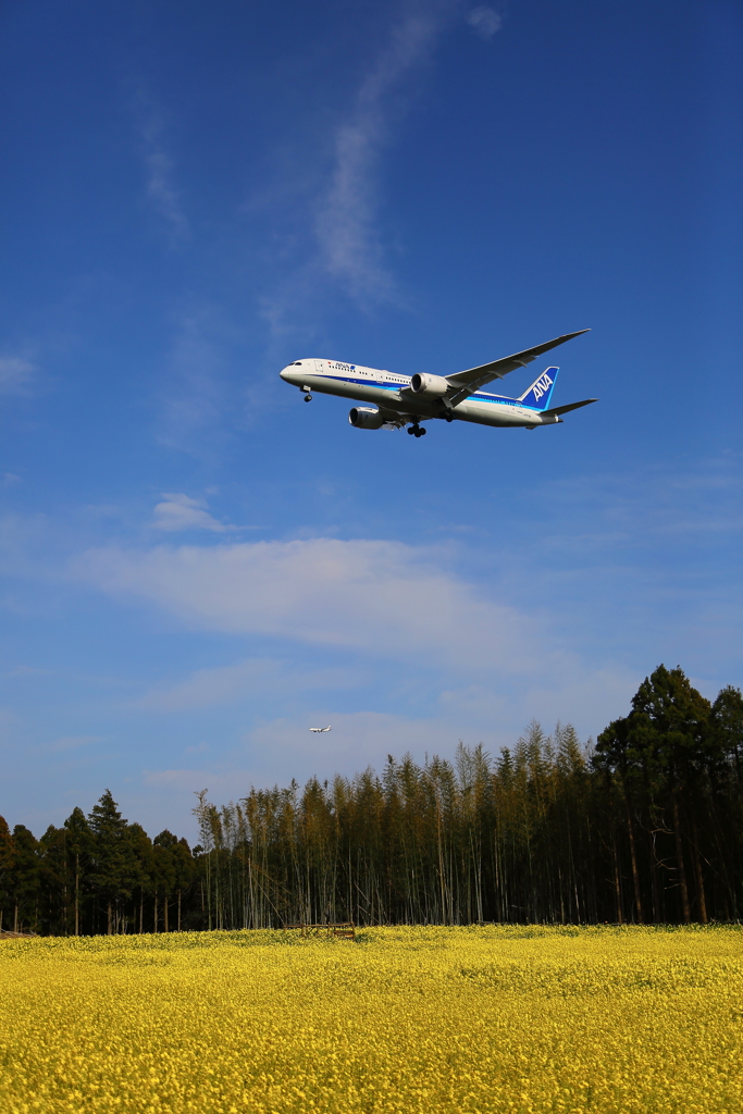 春の成田空港⑤