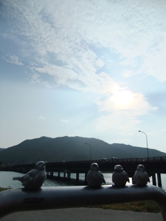 DSCF6333