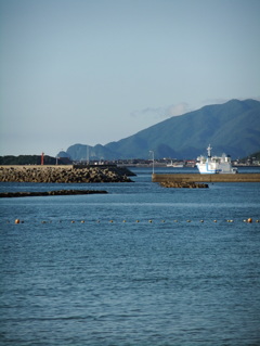 DSCF5559