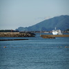 DSCF5559
