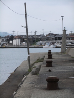 DSCF5665