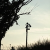 DSCF6638