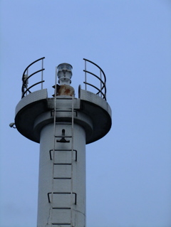 DSCF5705