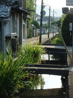 DSCF6447