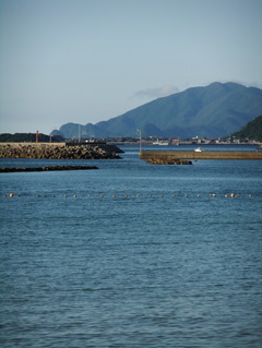 DSCF5581