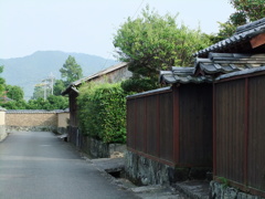DSCF6303