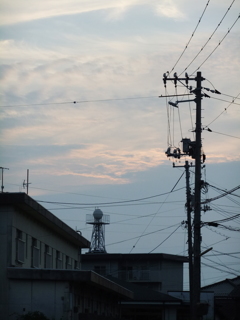 DSCF6196